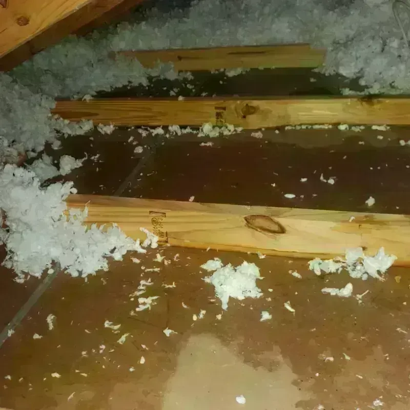 Attic Water Damage in Calera, OK