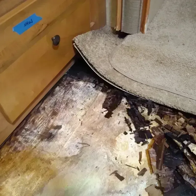 Wood Floor Water Damage in Calera, OK